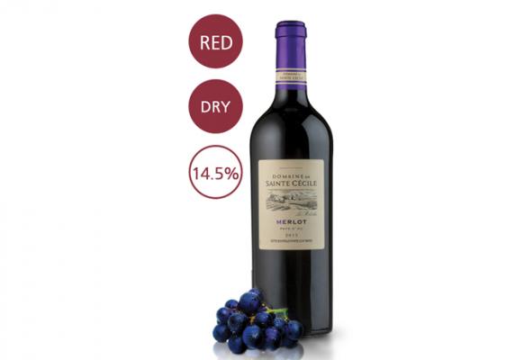 SAINTE CECILE MERLOT